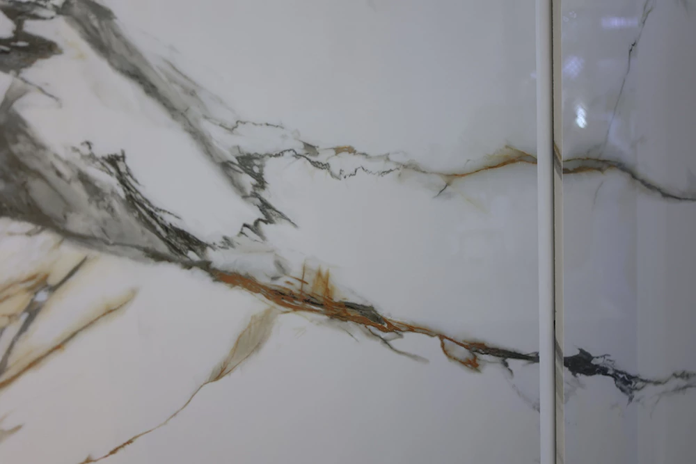 LS9A94171.webp